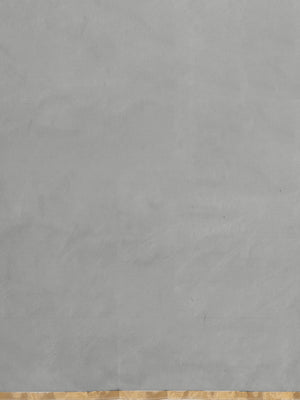 Grey & Pink Floral Hand Painted Organza Saree-Saree-Kalakari India-BHKPSA0119-Hand Painted, Organza, Sarees, Sustainable Fabrics, Traditional Weave-[Linen,Ethnic,wear,Fashionista,Handloom,Handicraft,Indigo,blockprint,block,print,Cotton,Chanderi,Blue, latest,classy,party,bollywood,trendy,summer,style,traditional,formal,elegant,unique,style,hand,block,print, dabu,booti,gift,present,glamorous,affordable,collectible,Sari,Saree,printed, holi, Diwali, birthday, anniversary, sustainable, organic, scarf